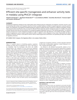 Efficient site-specific transgenesis and enhancer