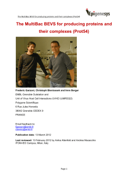 The MultiBac BEVS for producing proteins and their complexes