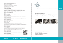 The roles of YbeY, RfaH, and Hfq in gene regulation and