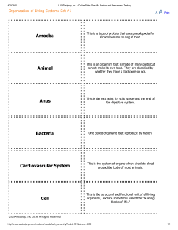 Amoeba Animal Anus Bacteria Cardiovascular System Cell