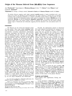 Origin of the Mesozoa Inferred from 18s rRNA Gene Sequences