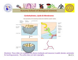 Carbohydrates, Lipids, Membranes (download  file)