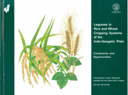Legumes in Rice and Wheat Cropping Systems of the Indo