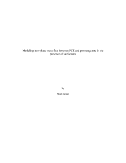 Modeling interphase mass flux between PCE and permanganate in