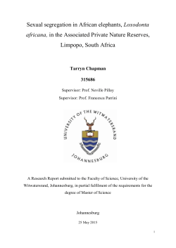 Sexual segregation in African elephants, Loxodonta africana, in the