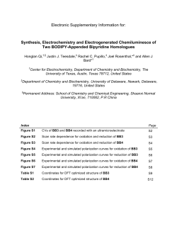 Supporting Information