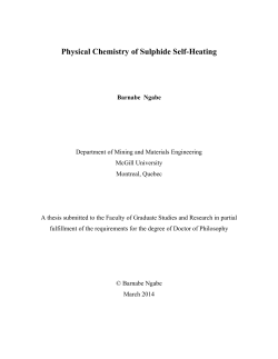 Physical Chemistry of Sulphide Self-Heating