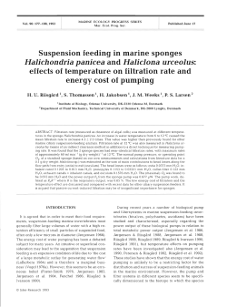 Halichondria panicea and Haliclona urceolus