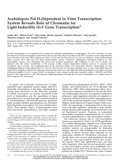Arabidopsis Pol II-Dependent in Vitro Transcription System Reveals
