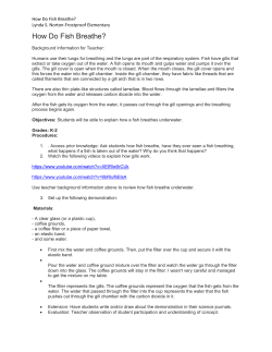 How Do Fish Breathe? - Pets in the Classroom