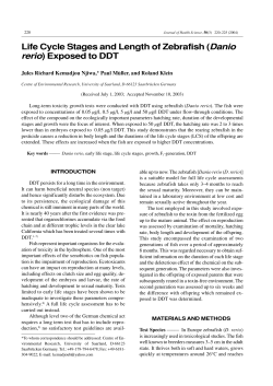 Life Cycle Stages and Length of Zebrafish (Danio rerio) Exposed to