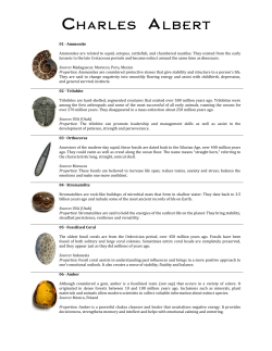 Detailed Stone Descriptions