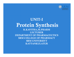 Steps in Protein Synthesis