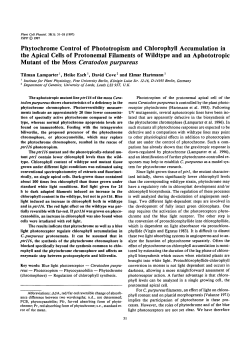 Phytochrome Control of Phototropism and Chlorophyll Accumulation