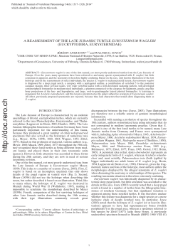 A reassessment of the late jurassic turtle Eurysternum wagleri