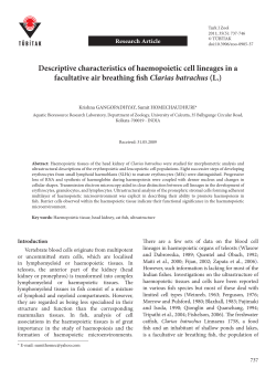 Descriptive characteristics of haemopoietic cell lineages in a