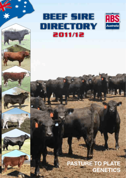 beef sire directory