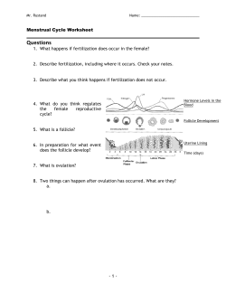 Menstrual Cycle Sheet and Key