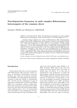 Non-disjunction frequency in male complex - BIOL