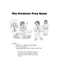 The Predator Prey Game