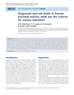 Oogenesis and cell death in human prenatal ovaries: what are the