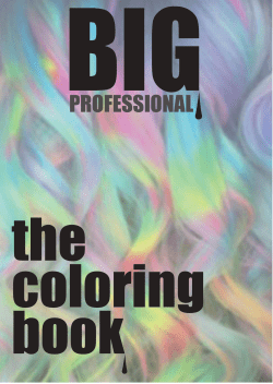 BIG COLOR TECH. BOOK - Hair Color Cream Created by