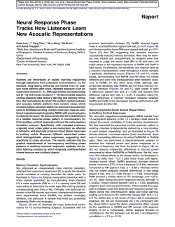Neural Response Phase Tracks How Listeners