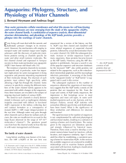 Aquaporins: Phylogeny, Structure, and Physiology of Water