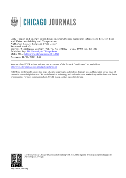 Daily Torpor and Energy Expenditure in Sminthopsis macroura