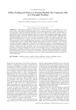 Pollen Feeding and Fitness in Praying Mantids: The Vegetarian Side