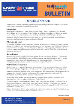 Mould in Schools Bulletin