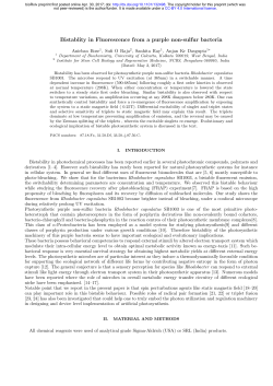 Bistability In Fluorescence From A Purple Non-Sulfur