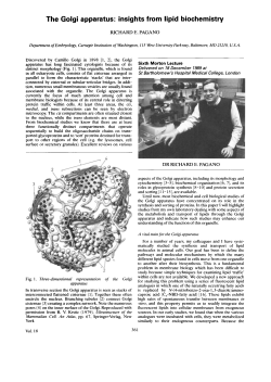 The Golgi apparatus - Biochemical Society Transactions
