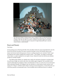 Beast and Beauty - Boundary Language: A Critical System for