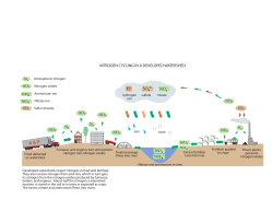 Nitrogen in a Disturbed Watershed