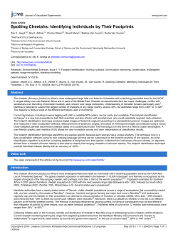 Spotting Cheetahs: Identifying Individuals by Their