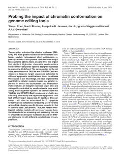 Probing the impact of chromatin conformation on genome editing tools