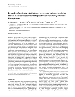 Dynamics of symbiotic establishment between an IAA