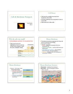 Chp 3 Membrane transport
