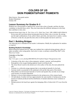 colors of us skin pigments/paint pigments