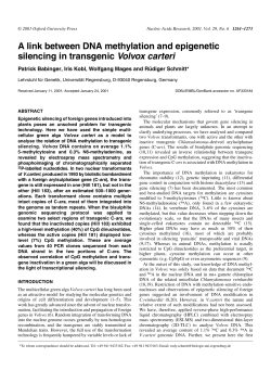 A link between DNA methylation and epigenetic