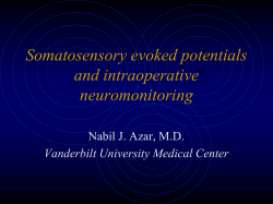 Somatosensory Evoked Potential - Vanderbilt University Medical