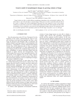 Generic model of morphological changes in growing colonies of fungi