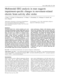 Multimodal EEG analysis in man suggests