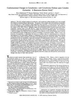 Conformational Changes in Cytochrome c and Cytochrome Oxidase