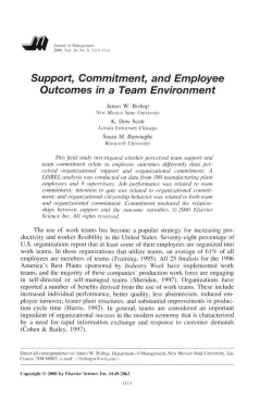 Support, Commitment, and Employee Outcomes in a Team