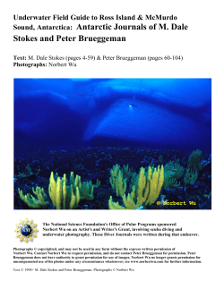 Sound, Antarctica: Antarctic Journals of M. Dale Stokes and Peter