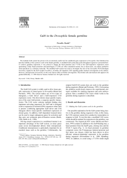 as a PDF