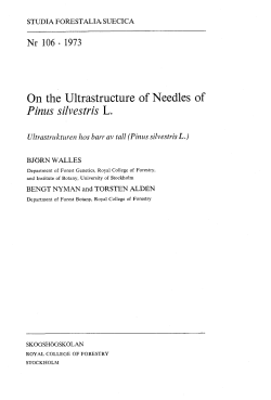 as a PDF