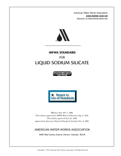B404-98 Liquid Sodium Silicate